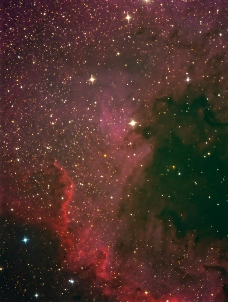 Nebulosa de Norte América - NGC7000 (sección)